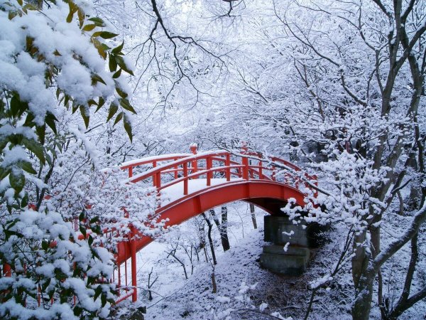Япония природа зима