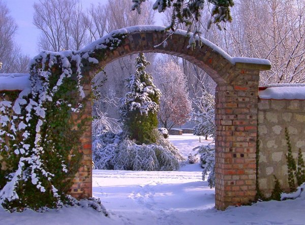 Зимняя арка