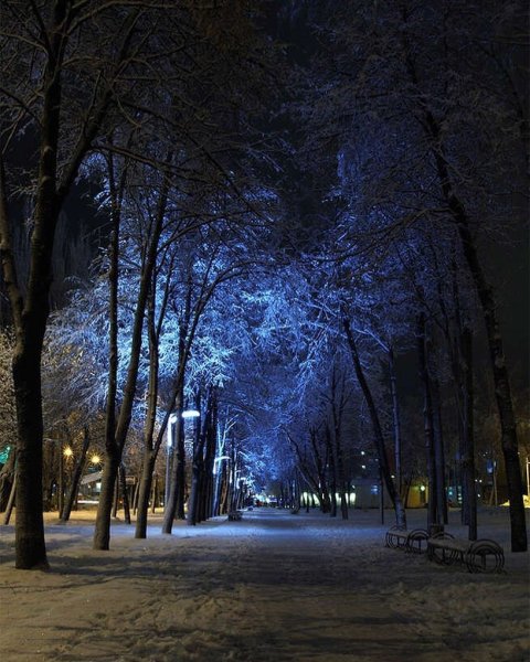 Ночь зимой