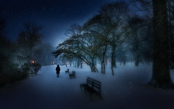 Зимний ночной пейзаж