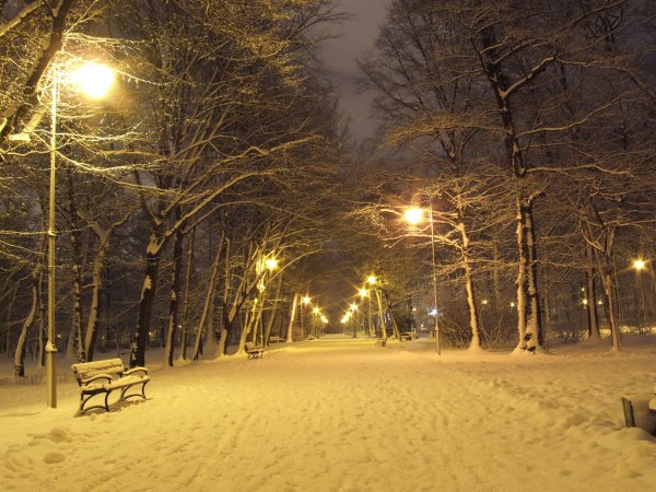 Зимний Вечерний парк