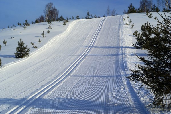 Снежная горка в лесу