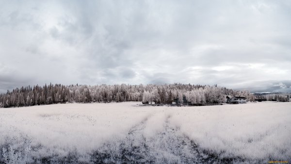 Снег поле