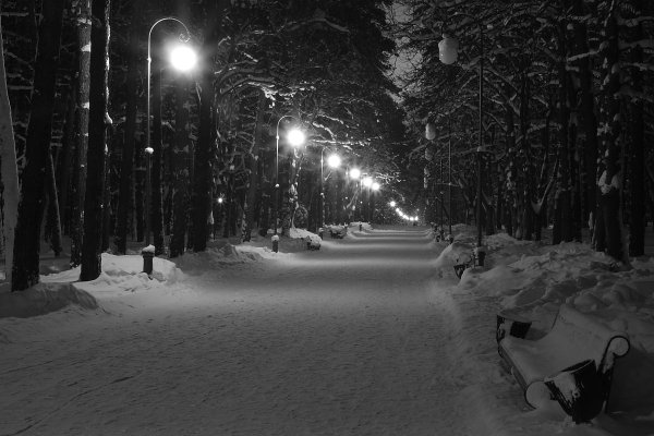 Заснеженный парк ночью