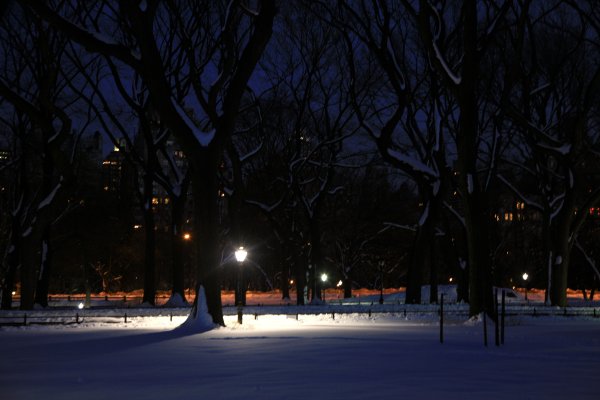 Зимний парк вечером