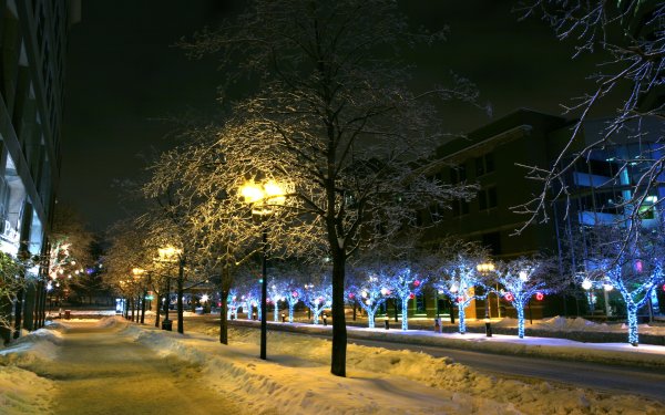 Фон зимний ночной парк