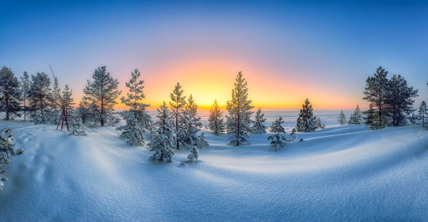 Зимняя природа панорама