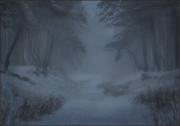 Метель ночью в лесу