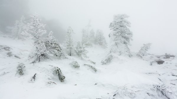 Снегопад и вьюга