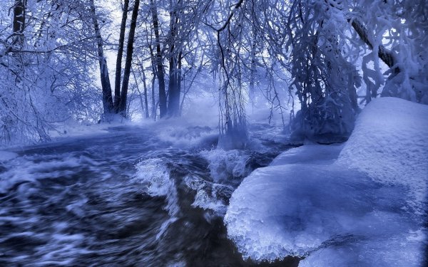 Зимний лес с рекой