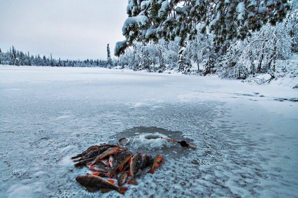 Зимняя рыбалка на льду