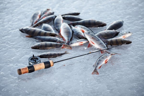 Рыбная ловля зимой