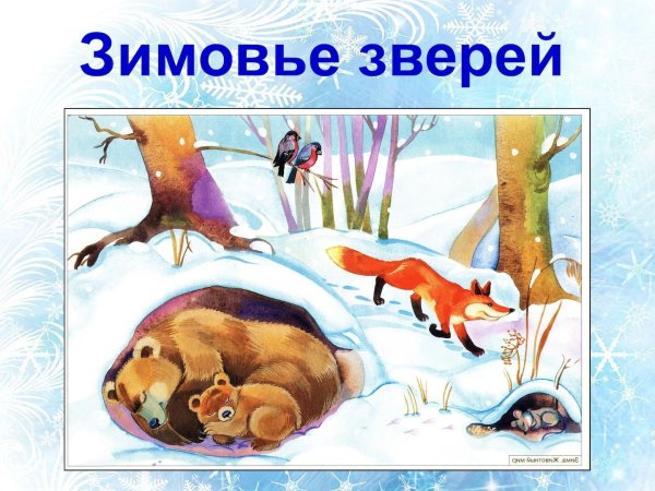 Зимующие животные для детей