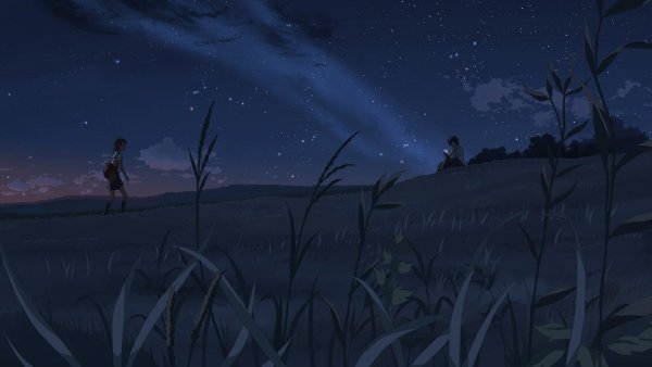 Фоны ночное небо с травой