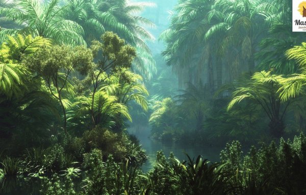 Чунцин тропические джунгли
