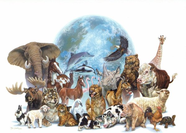 Всемирный день животных 2021