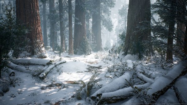 Таинственный зимний лес