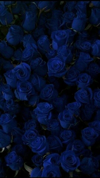 Красивый темно синий цвет
