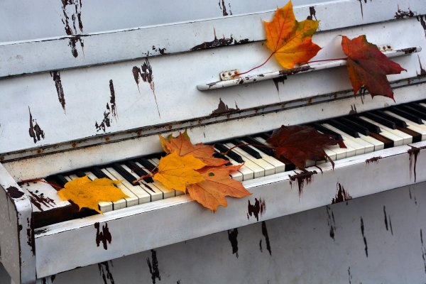 Фортепиано осень