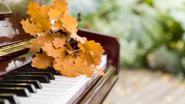 Пианино осенью