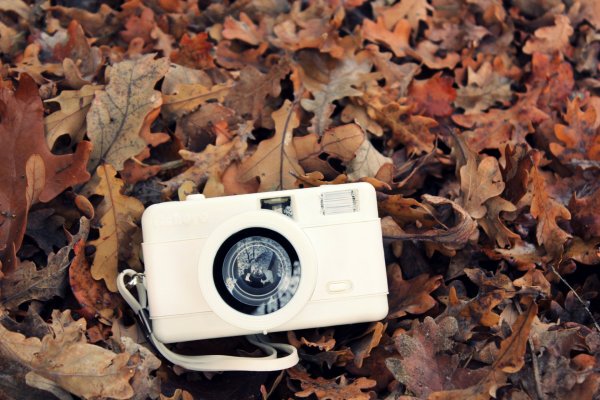 Фотоаппарат в осенних листьях