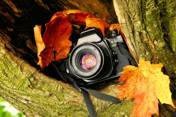 Осень фотокамеры