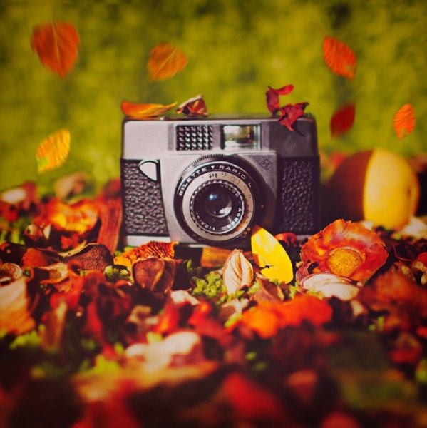 Осенний фотоаппарат