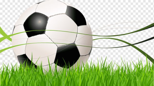 Мяч на траве