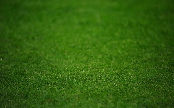 Зеленое футбольное поле