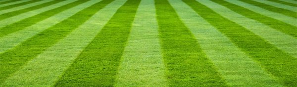 Футбольное поле газон трава