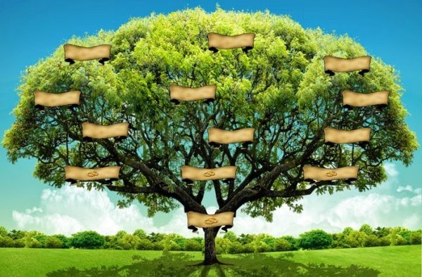 Дерево для генеалогического дерева