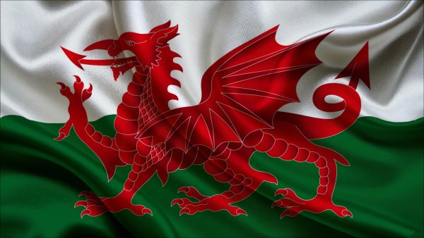 Национальный флаг Уэльса