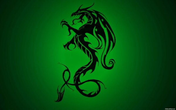 Зеленый дракон символ