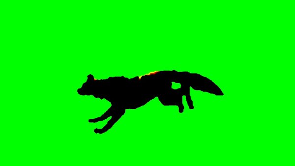Волк на зеленом фоне