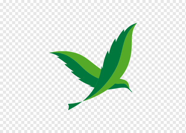 Логотипы зеленого цвета
