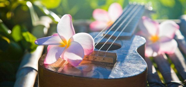 Гитара на фоне цветов