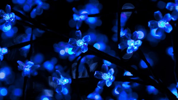Гламурные цветы на синем фоне