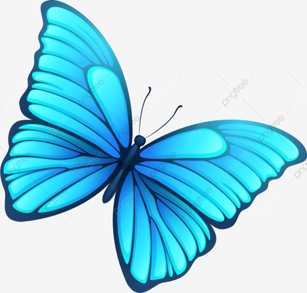 Бабочка бирюзового цвета