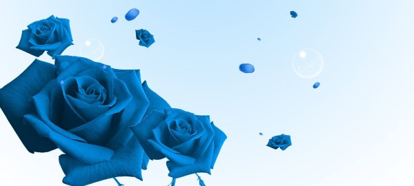 Голубые розы на Светлом фоне