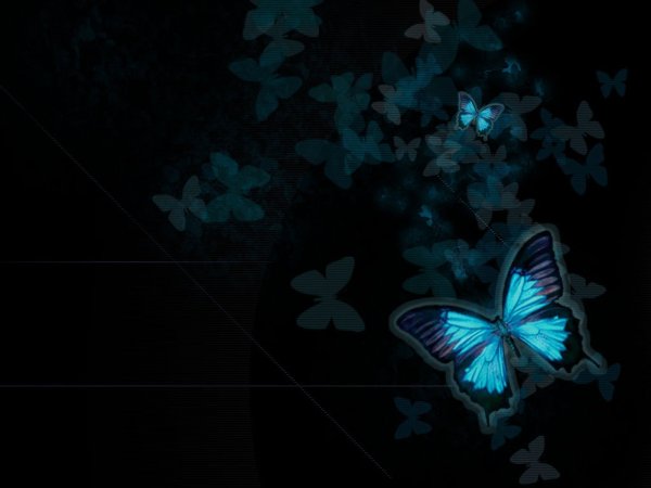Голубые бабочки на черном фоне