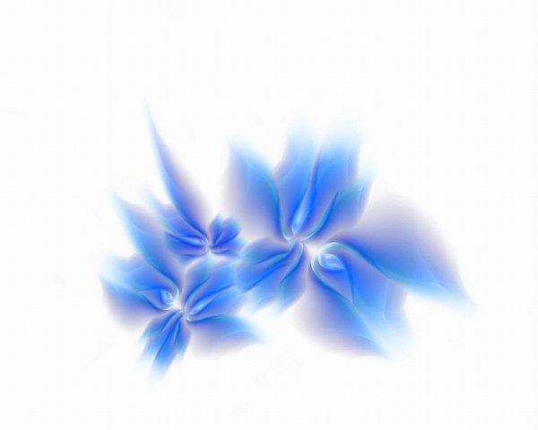 Голубой цветок на белом фоне