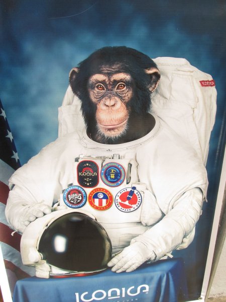 Обезьяна космонавт 1997