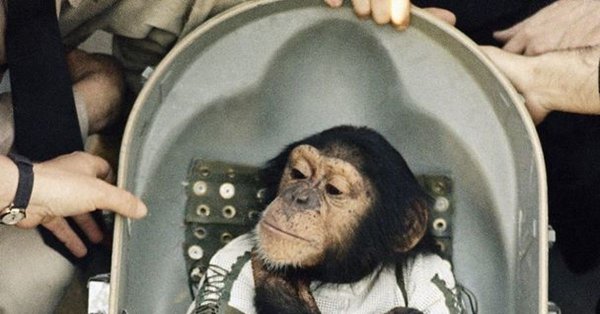 Шимпанзе Хэм космонавт