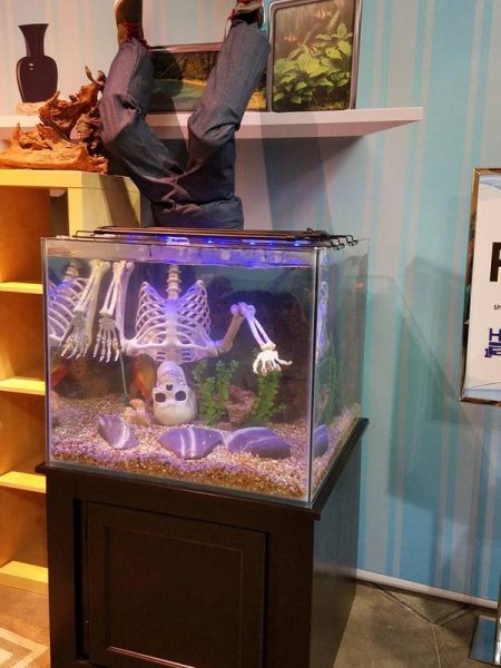 Необычный декор аквариума