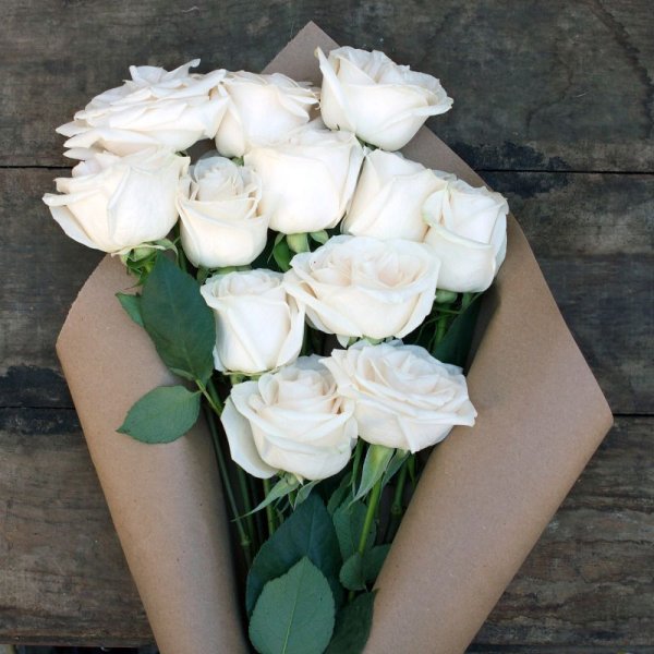 Белые розы в подарок женщине
