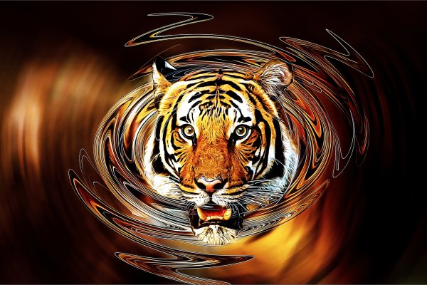 Год тигра 2022 Тигренок