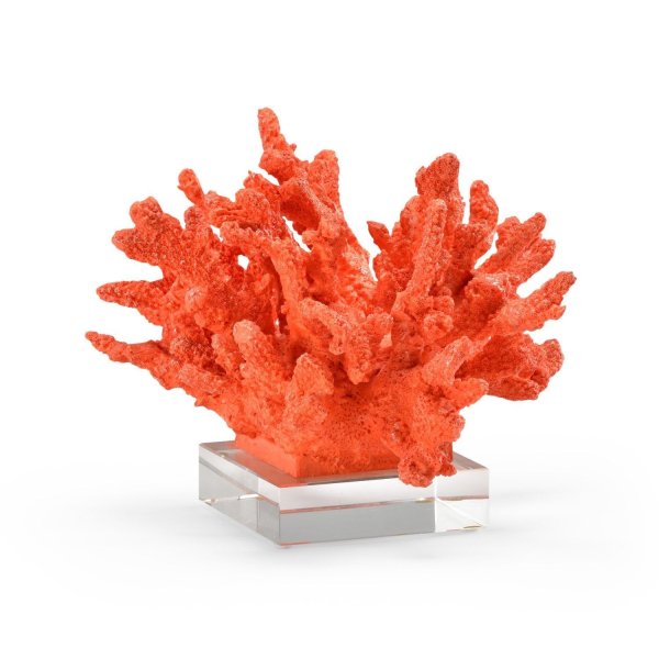 Идеи кораллов