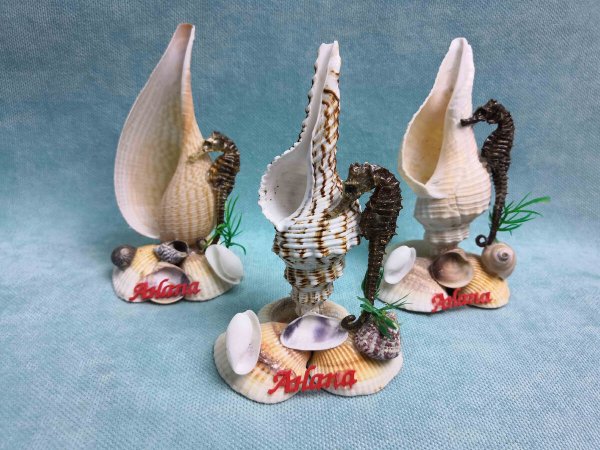 Морские сувениры из ракушек
