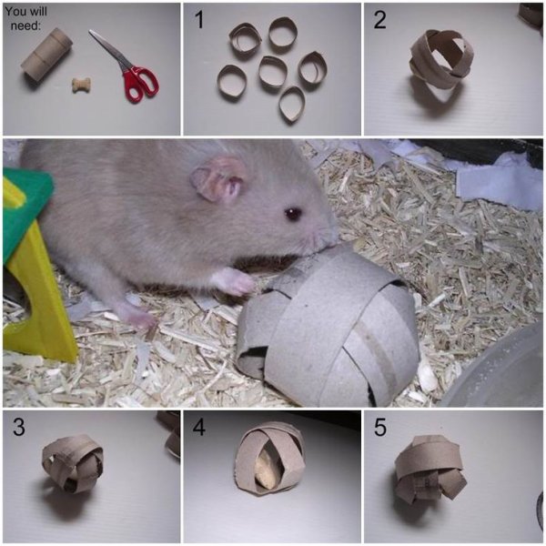 Игрушки для домашних крыс