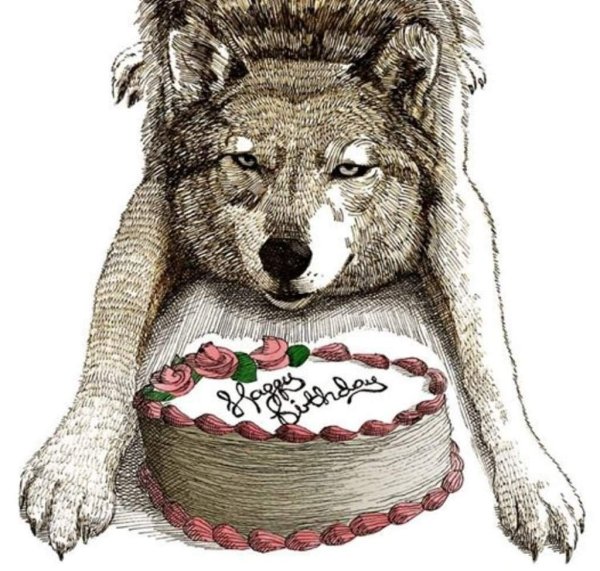 Поздравление с днем рождения волк